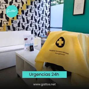 ala de espera del Hospital Gattos con cartel de urgencias 24 horas